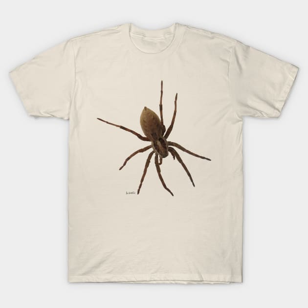 House spider T-Shirt by AHelene